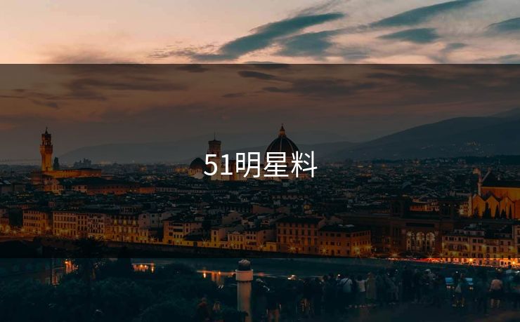 51明星料