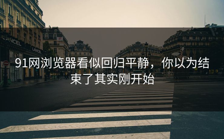 91网浏览器看似回归平静，你以为结束了其实刚开始