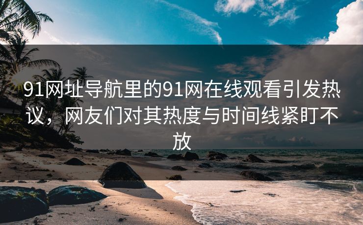 91网址导航里的91网在线观看引发热议，网友们对其热度与时间线紧盯不放
