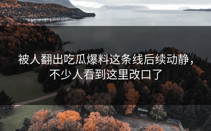 被人翻出吃瓜爆料这条线后续动静，不少人看到这里改口了