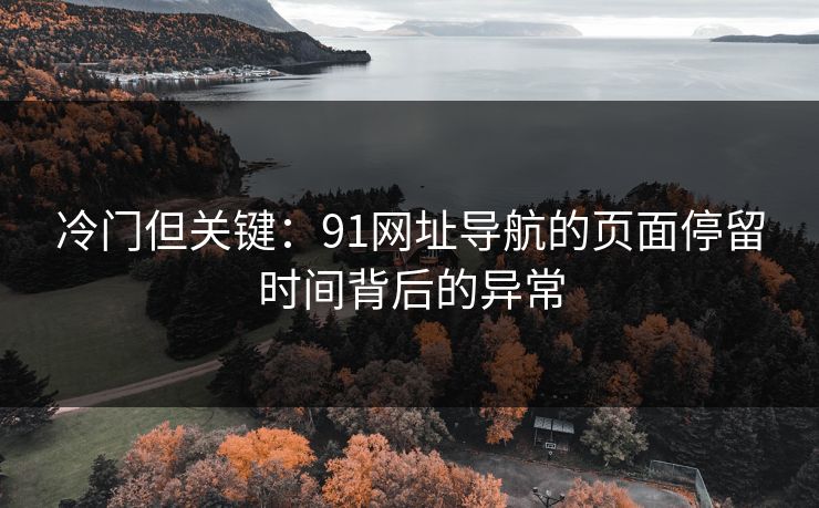 冷门但关键：91网址导航的页面停留时间背后的异常