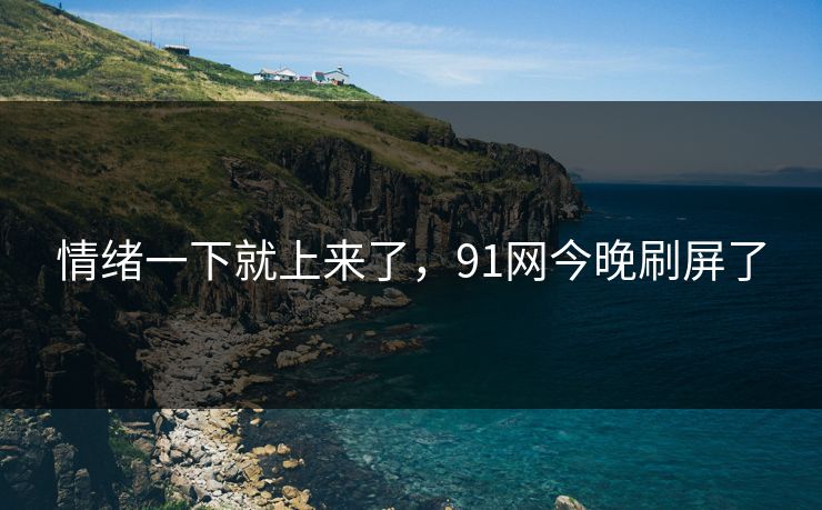情绪一下就上来了，91网今晚刷屏了