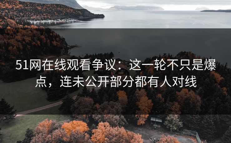 51网在线观看争议：这一轮不只是爆点，连未公开部分都有人对线