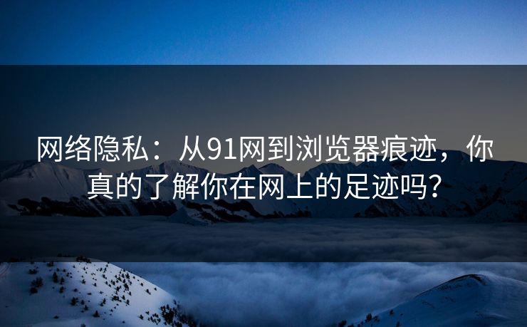 网络隐私：从91网到浏览器痕迹，你真的了解你在网上的足迹吗？