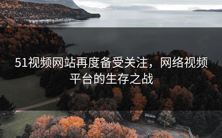 51视频网站再度备受关注，网络视频平台的生存之战