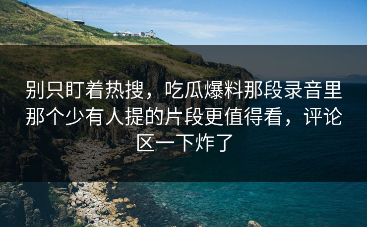 别只盯着热搜，吃瓜爆料那段录音里那个少有人提的片段更值得看，评论区一下炸了