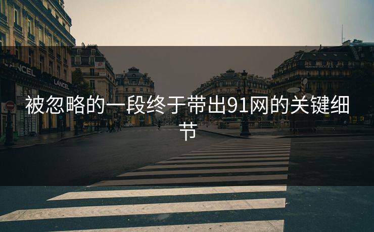 被忽略的一段终于带出91网的关键细节